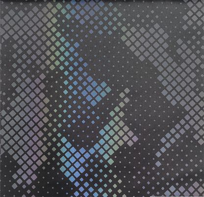 Colorato blocco irregolare camuffamento 50D tessuto per proiettili meccanici
